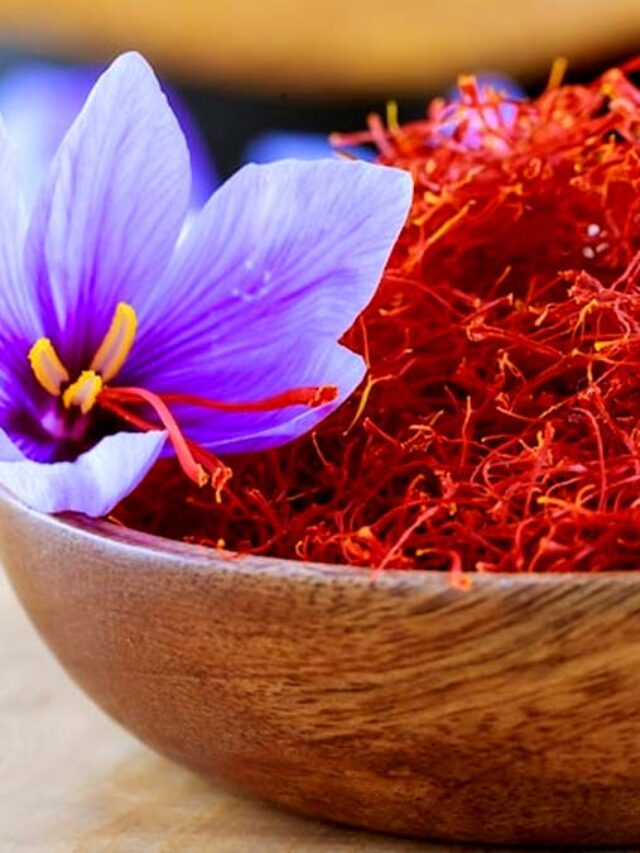 Saffron Benefits : आरोग्य फायद्यांसाठी दररोज वापरा ‘गुणकारी केशर’