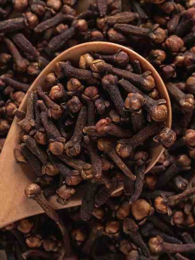 Benefits of Cloves |  सकाळी रिकाम्या पोटी लवंग चावल्याने कोणते फायदे होतात?