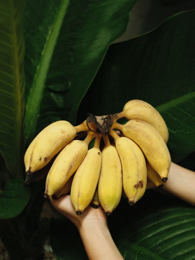 रोज १ केळे खा, आणि मिळवा 'हे' ७ जबरदस्त फायदे! (1)